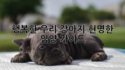 행복한 우리 강아지, 현명한 입양 가이드