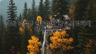 안동 광석동 원룸이사 꿀팁🍯 저렴하게 끝내는 방법!
