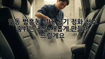 안동 법흥동 실내 공기 정화 청소: 숨쉬는 공간, 새롭게 만들어 드릴게요!